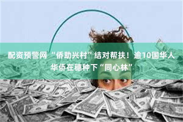 配资预警网 “侨助兴村”结对帮扶！逾10国华人华侨在穗种下“同心林”