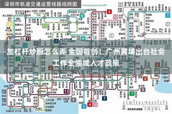 加杠杆炒股怎么弄 全国首创！广州黄埔出台社会工作全领域人才政策