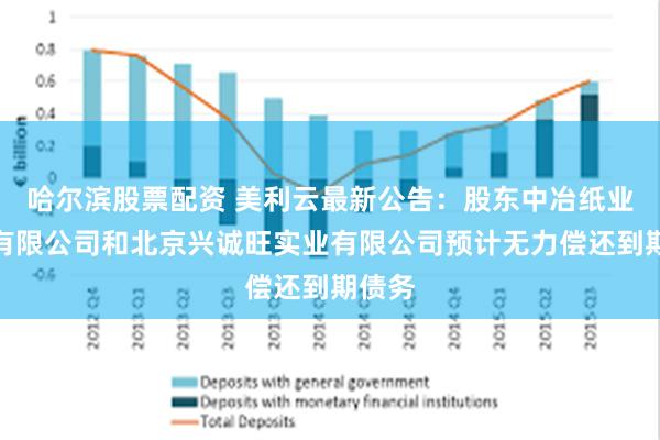 哈尔滨股票配资 美利云最新公告：股东中冶纸业集团有限公司和北京兴诚旺实业有限公司预计无力偿还到期债务