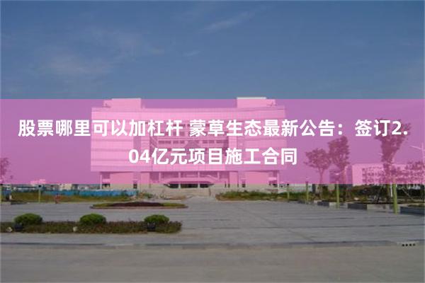 股票哪里可以加杠杆 蒙草生态最新公告：签订2.04亿元项目施工合同