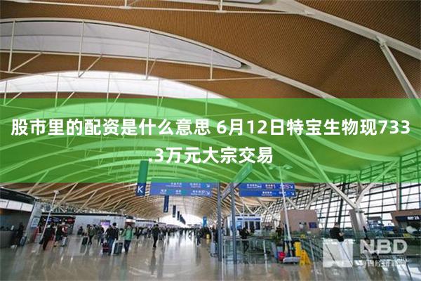 股市里的配资是什么意思 6月12日特宝生物现733.3万元大宗交易