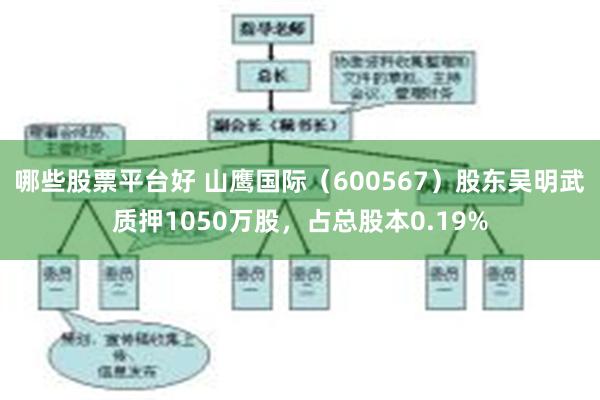哪些股票平台好 山鹰国际（600567）股东吴明武质押1050万股，占总股本0.19%