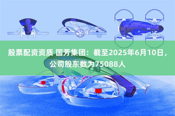 股票配资资质 国芳集团：截至2025年6月10日，公司股东数为75088人