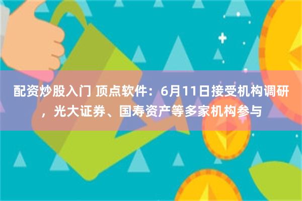 配资炒股入门 顶点软件：6月11日接受机构调研，光大证券、国寿资产等多家机构参与