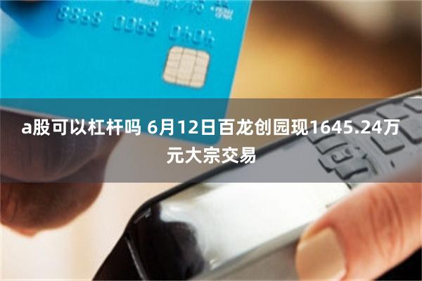 a股可以杠杆吗 6月12日百龙创园现1645.24万元大宗交易