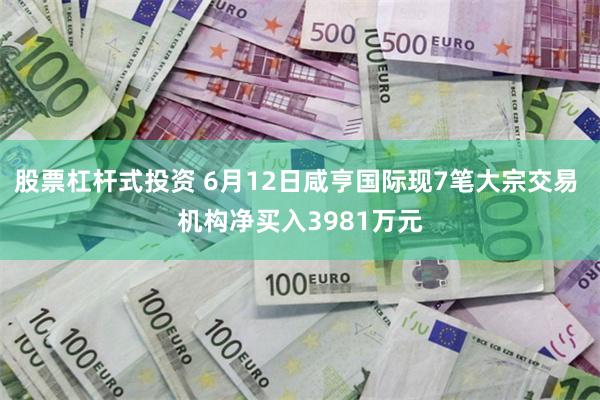股票杠杆式投资 6月12日咸亨国际现7笔大宗交易 机构净买入3981万元