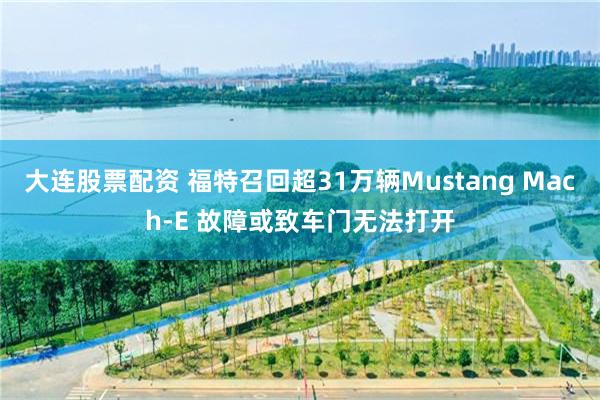 大连股票配资 福特召回超31万辆Mustang Mach-E 故障或致车门无法打开