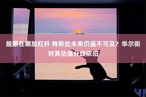 股票在哪加杠杆 特斯拉未来仍遥不可及？华尔街对其估值分歧依旧