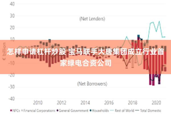 怎样申请杠杆炒股 宝马联手大唐集团成立行业首家绿电合资公司