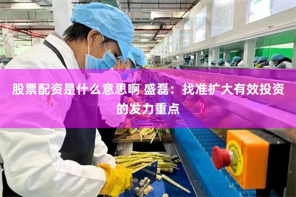 股票配资是什么意思啊 盛磊:找准扩大有效投资的发力重点