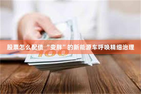 股票怎么配债 “变胖”的新能源车呼唤精细治理