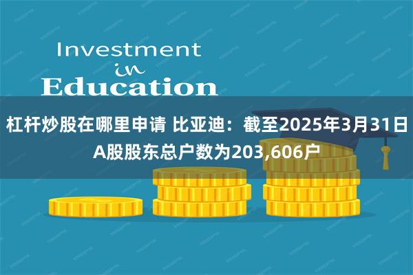 杠杆炒股在哪里申请 比亚迪：截至2025年3月31日A股股东总户数为203,606户