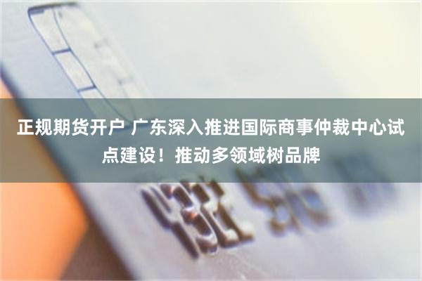 正规期货开户 广东深入推进国际商事仲裁中心试点建设！推动多领域树品牌
