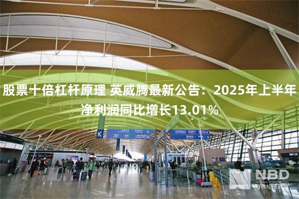 股票十倍杠杆原理 英威腾最新公告：2025年上半年净利润同比增长13.01%