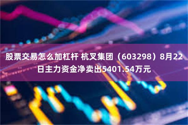 股票交易怎么加杠杆 杭叉集团（603298）8月22日主力资金净卖出5401.54万元