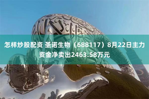 怎样炒股配资 圣诺生物（688117）8月22日主力资金净卖出2463.58万元
