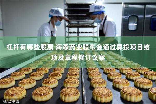 杠杆有哪些股票 海森药业股东会通过募投项目结项及章程修订议案