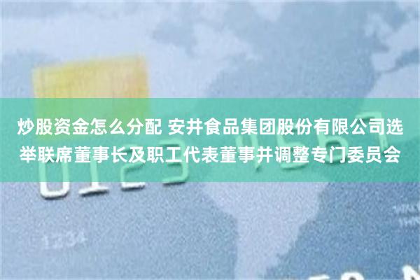 炒股资金怎么分配 安井食品集团股份有限公司选举联席董事长及职工代表董事并调整专门委员会