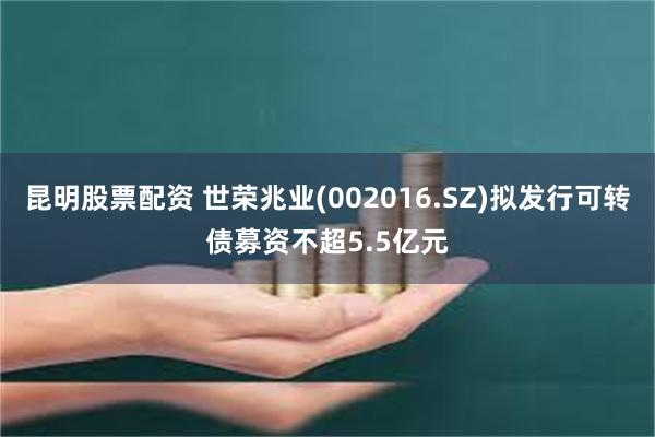 昆明股票配资 世荣兆业(002016.SZ)拟发行可转债募资不超5.5亿元