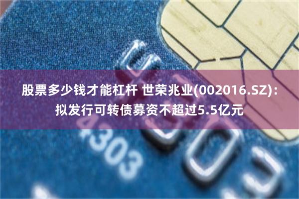 股票多少钱才能杠杆 世荣兆业(002016.SZ)：拟发行可转债募资不超过5.5亿元