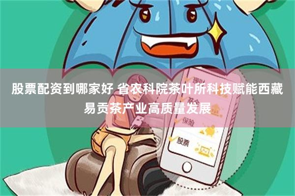 股票配资到哪家好 省农科院茶叶所科技赋能西藏易贡茶产业高质量发展