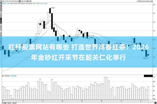 杠杆股票网站有哪些 打造世界高香红茶！2026年金砂红开采节在韶关仁化举行
