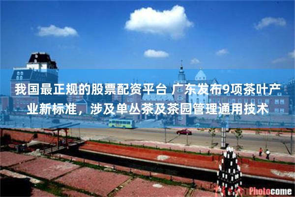 我国最正规的股票配资平台 广东发布9项茶叶产业新标准，涉及单丛茶及茶园管理通用技术