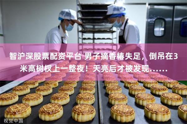 智沪深股票配资平台 男子摘香椿失足，倒吊在3米高树杈上一整夜！天亮后才被发现……