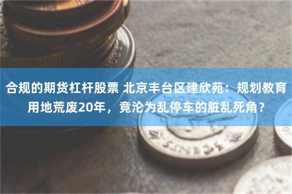 合规的期货杠杆股票 北京丰台区建欣苑:规划教育用地荒废20年,竟沦为乱停车的脏乱死角?