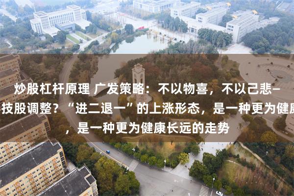 炒股杠杆原理 广发策略：不以物喜，不以己悲——如何看待科技股调整？“进二退一”的上涨形态，是一种更为健康长远的走势
