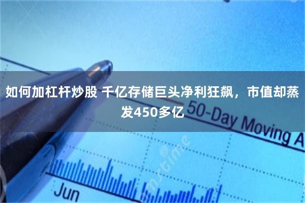 如何加杠杆炒股 千亿存储巨头净利狂飙,市值却蒸发450多亿