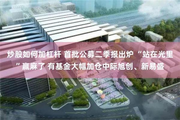 炒股如何加杠杆 首批公募二季报出炉 “站在光里”赢麻了 有基金大幅加仓中际旭创、新易盛