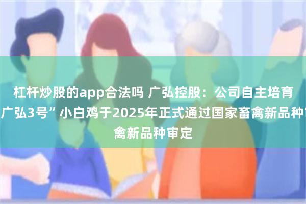 杠杆炒股的app合法吗 广弘控股:公司自主培育的“广弘3号”小白鸡于2025年正式通过国家畜禽新品种审定