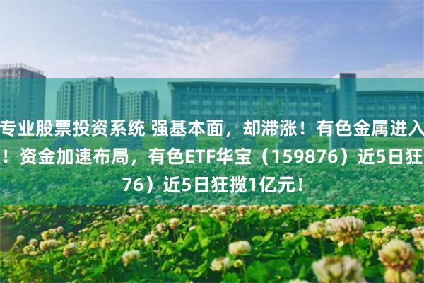 专业股票投资系统 强基本面，却滞涨！有色金属进入配置区间！资金加速布局，有色ETF华宝（159876）近5日狂揽1亿元！