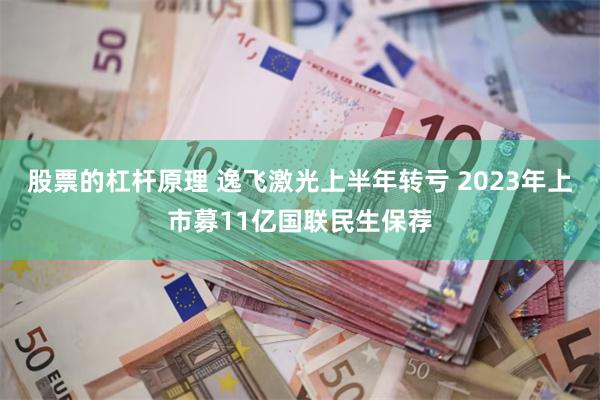 股票的杠杆原理 逸飞激光上半年转亏 2023年上市募11亿国联民生保荐