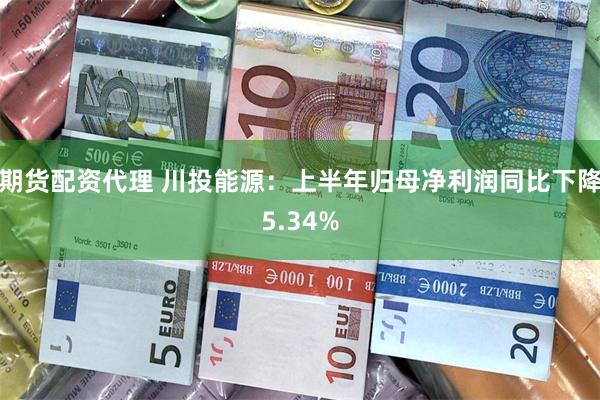期货配资代理 川投能源：上半年归母净利润同比下降5.34%