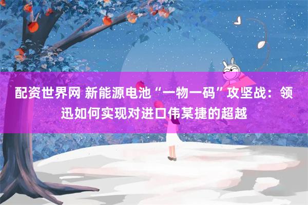 配资世界网 新能源电池“一物一码”攻坚战：领迅如何实现对进口伟某捷的超越