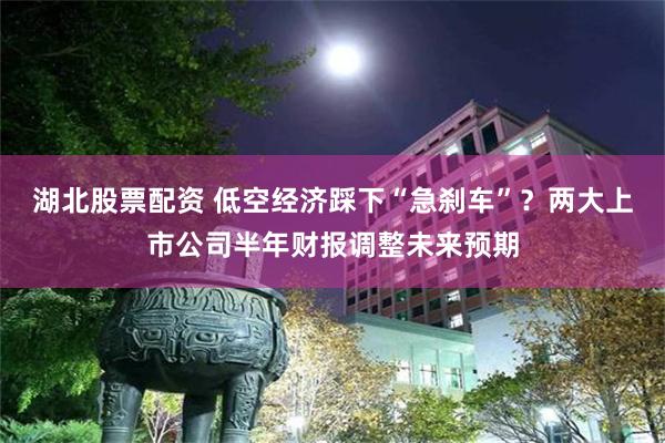 湖北股票配资 低空经济踩下“急刹车”？两大上市公司半年财报调整未来预期