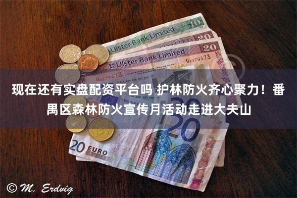 现在还有实盘配资平台吗 护林防火齐心聚力！番禺区森林防火宣传月活动走进大夫山