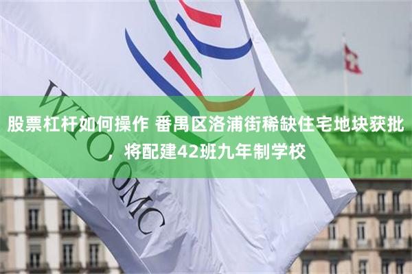股票杠杆如何操作 番禺区洛浦街稀缺住宅地块获批，将配建42班九年制学校