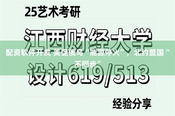 配资软件开发 美促俄乌“能源停火”，北约盟国“不同步”