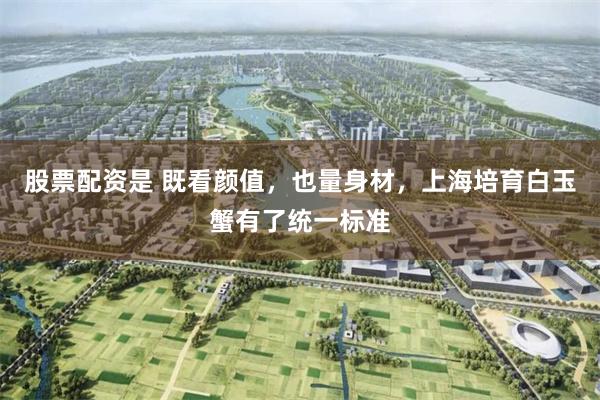 股票配资是 既看颜值,也量身材,上海培育白玉蟹有了统一标准